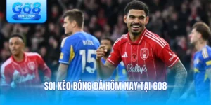 soi kèo bóng đá hôm nay tại Go8