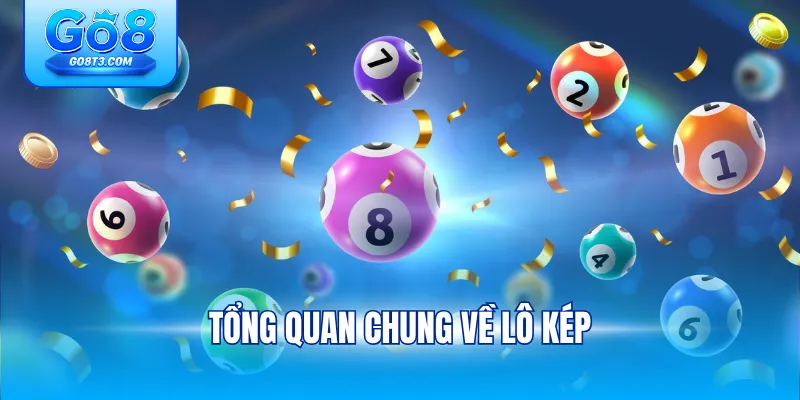 Tổng quan chung về lô kép